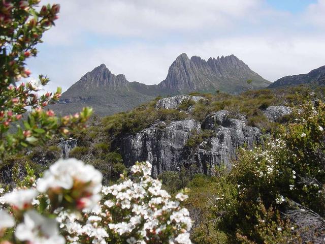 tasmanien