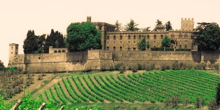 Lär dig allt om underbara Toscana, en av Italiens viktigaste vinregioner