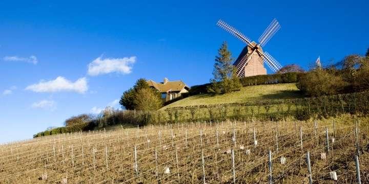 Vad är Champagne Grand Cru-byar?