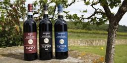 Fattoi – Brunello di Montalcino