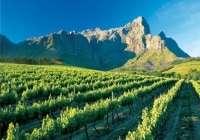 Stellenbosch – den ultimata vinregionen