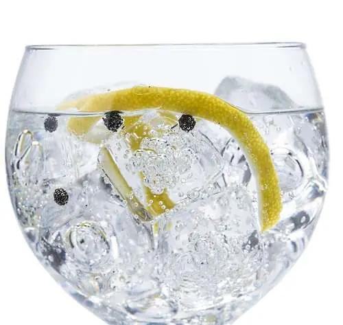 Gin: ett glas gin och tonic