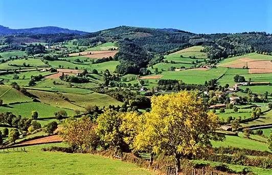 Lite höstlig vy-bild över Beaujolais.