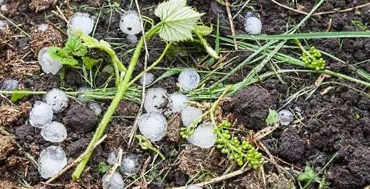 Bourg och Blaye: hagel