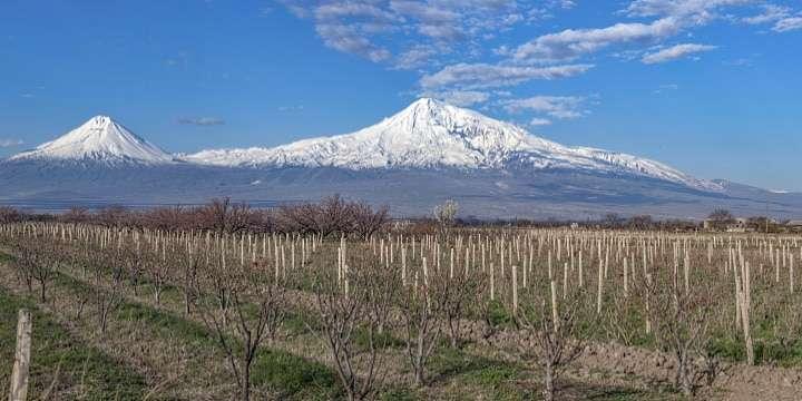 Georgien och Armenien – vinkulturer som varat länge