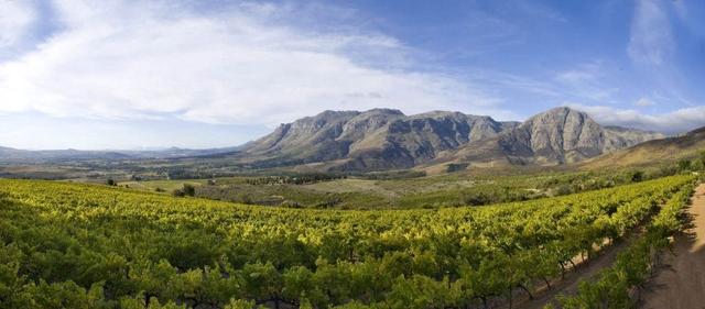 stellenbosch