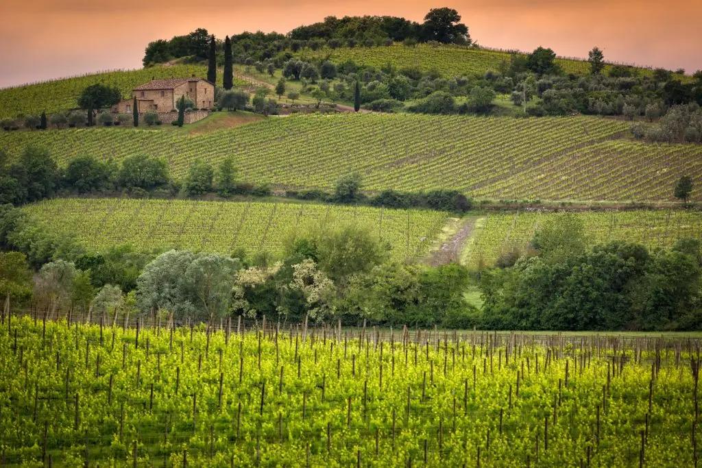 toscana-brunello