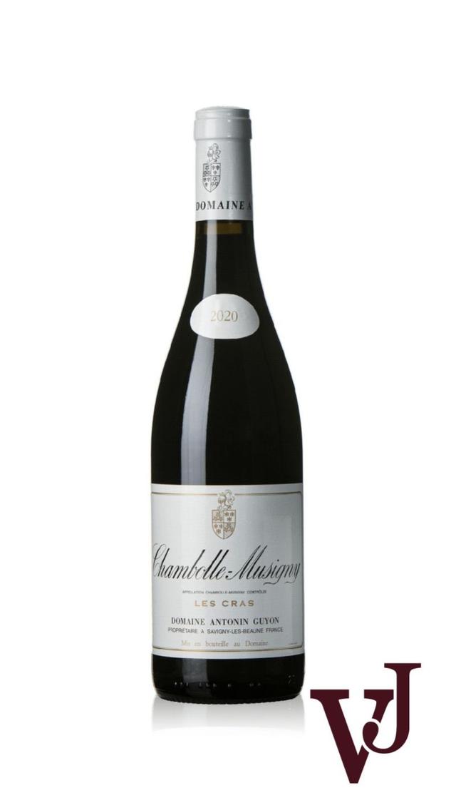 Chambolle Musigny