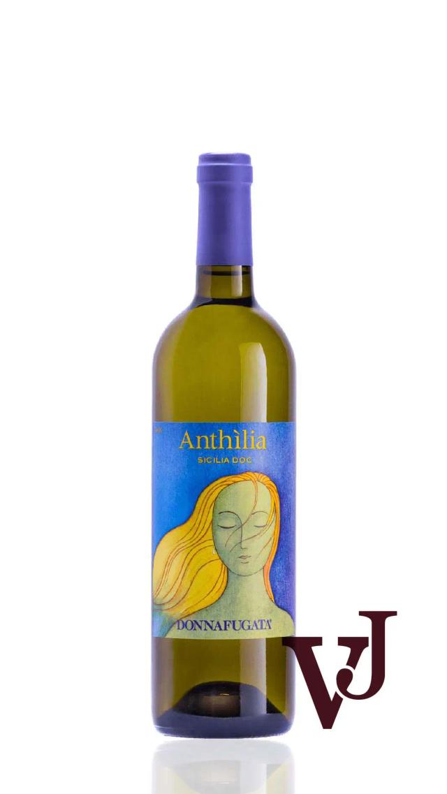 Anthilia