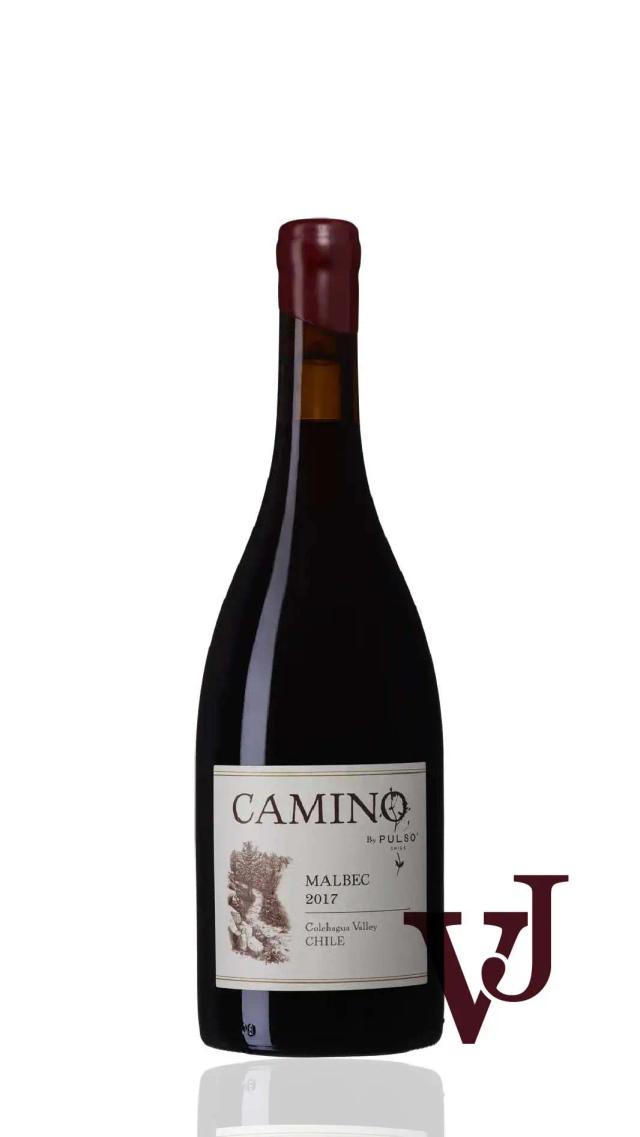 Camino Malbec 2017