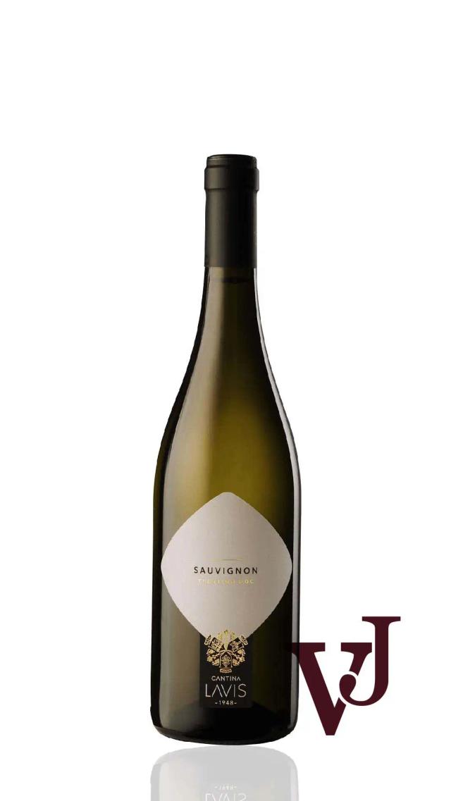 Cantina Lavis Sauvignon