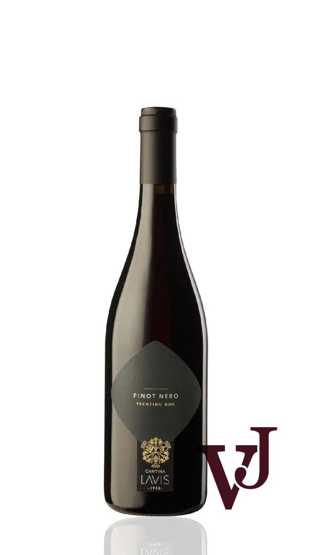 Cantina Lavis Pinot Nero