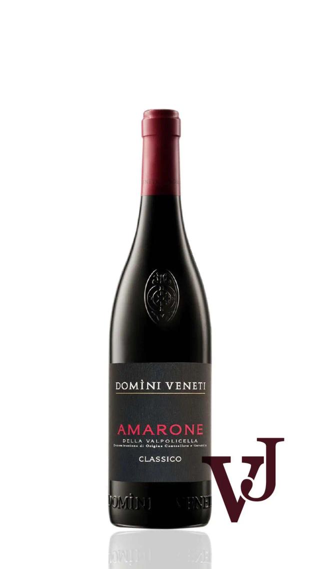 Domìni Veneti Amarone Classico