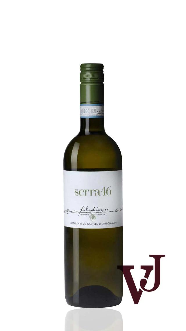 Filodivino Verdicchio Dei Castelli Di Jesi