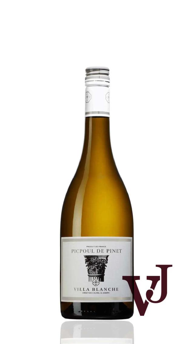 Picpoul de Pinet Villa Blanche