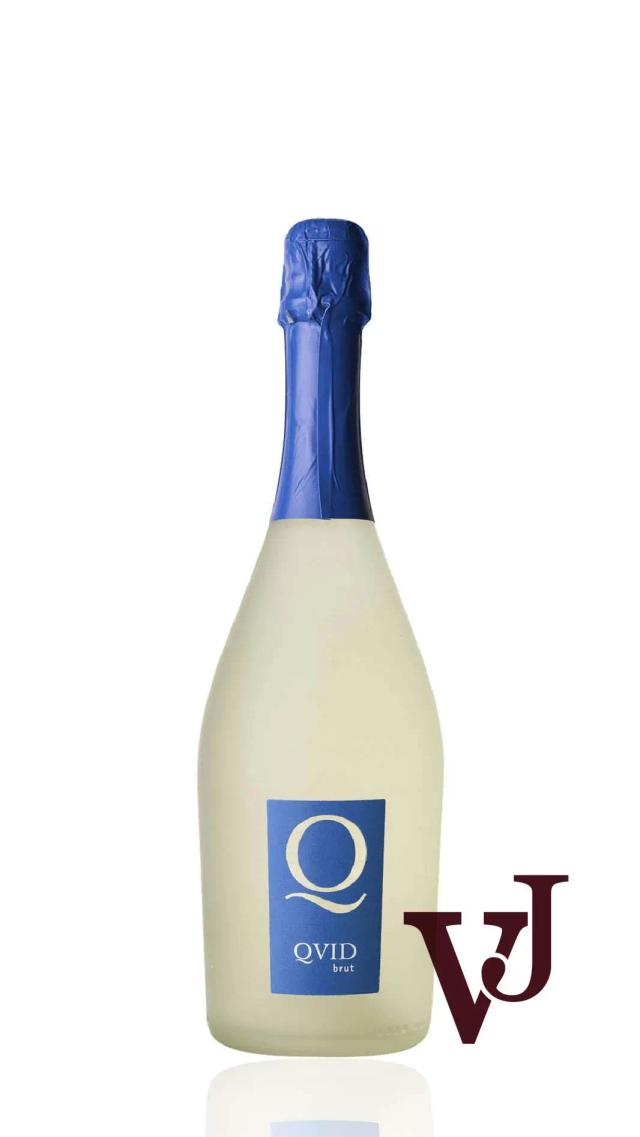 Qvid Brut Falanghina Spumante