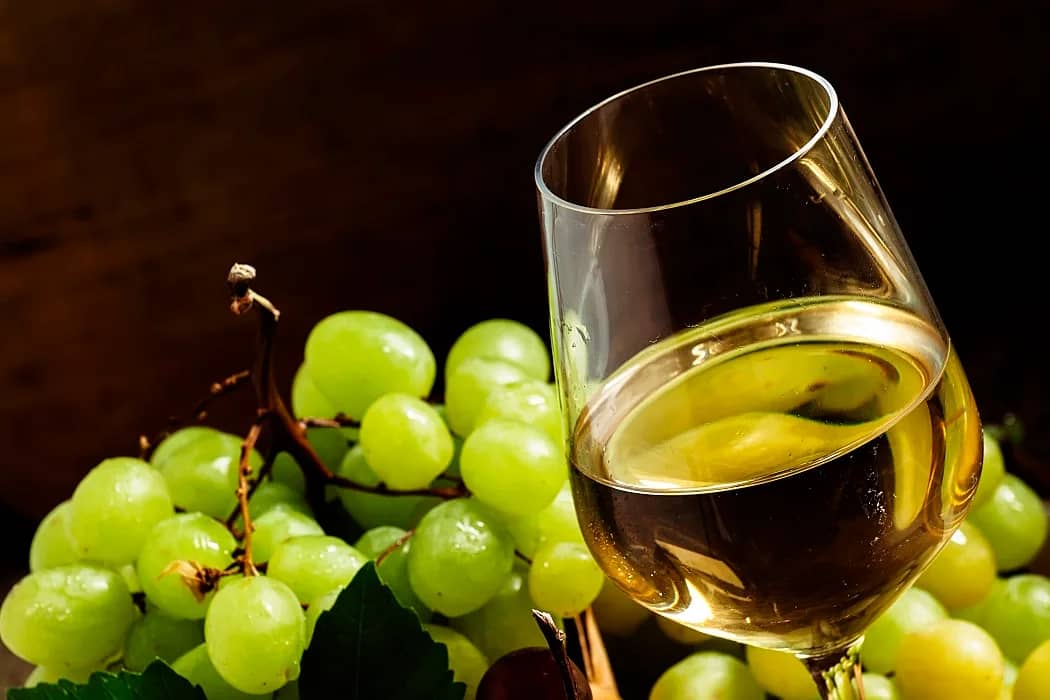 Omslagsbild med vita viner och vitvinsblandningar, eleganta flaskor och glas.