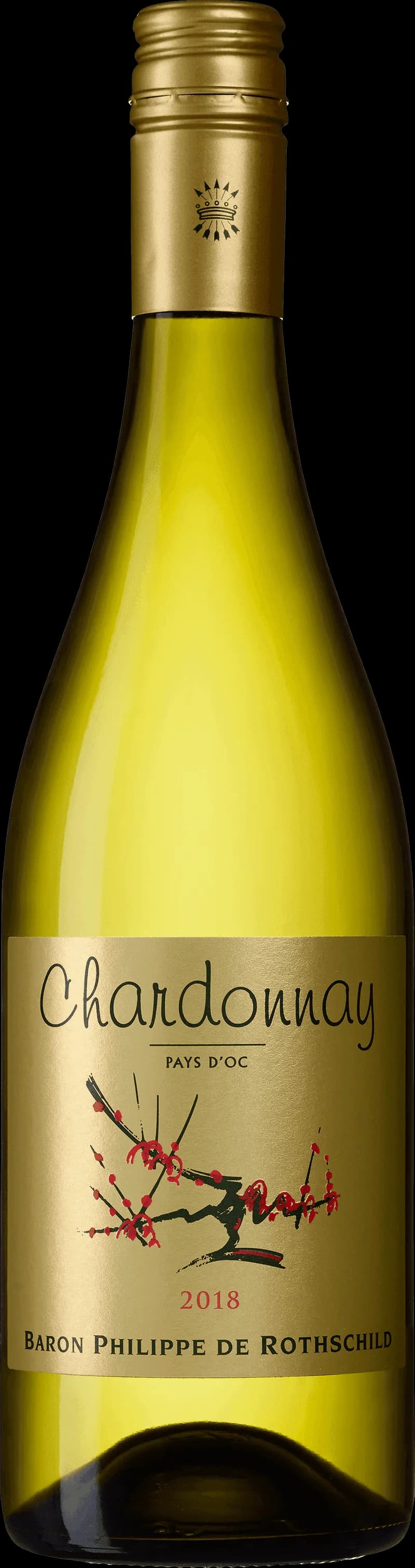 Illustration av olika druvsorter för vitt vin, inklusive chardonnay, sauvignon blanc och riesling.