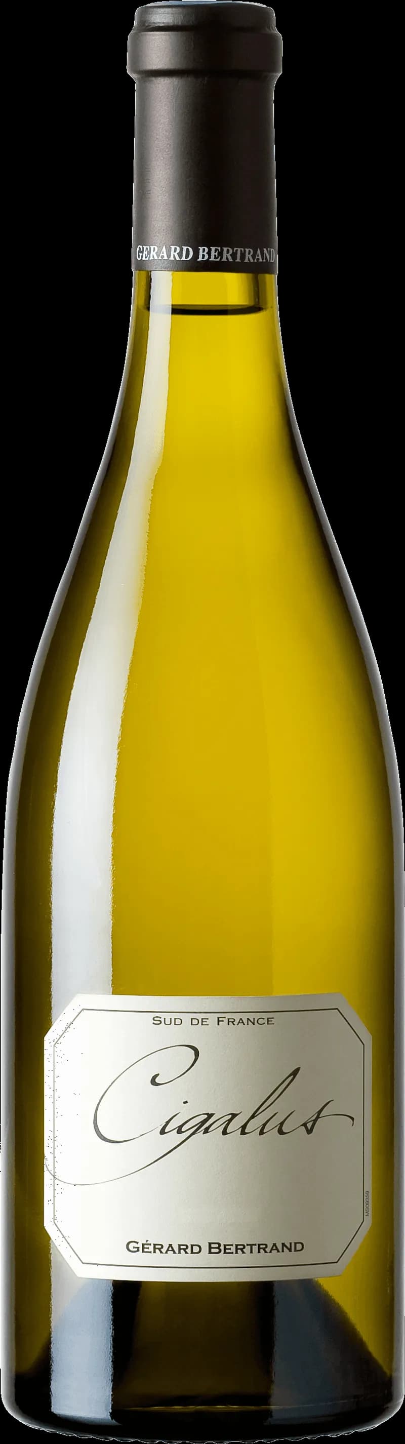 Flaska av Gérard Bertrand vitt vin mot ljus bakgrund.