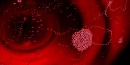 Lambrusco gör comeback som trenddryck