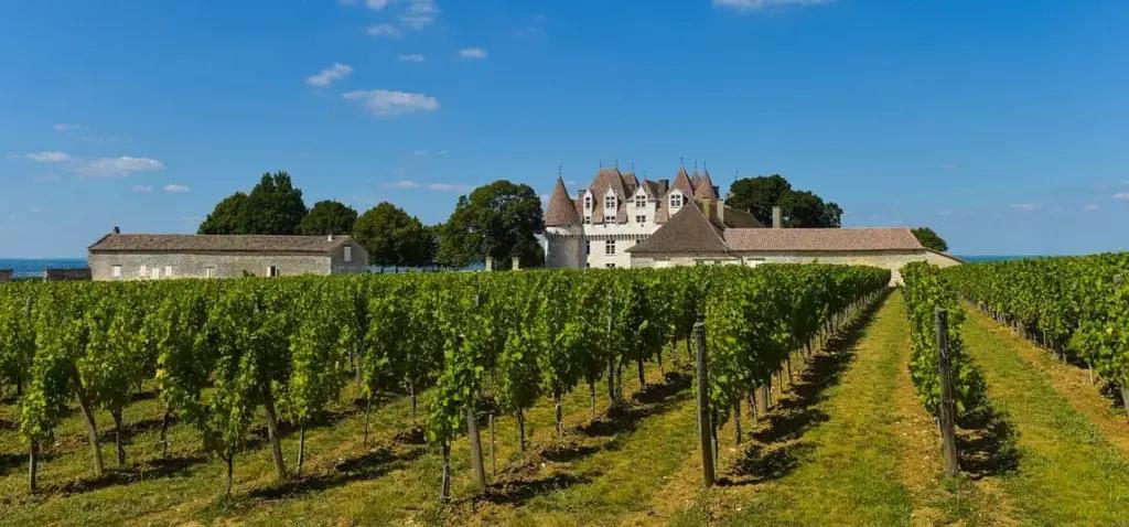 röda viner från Frankrike röda viner från Frankrike