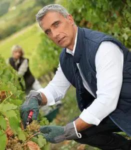 Allt du vill veta om Alsaceviner på 2 minuter