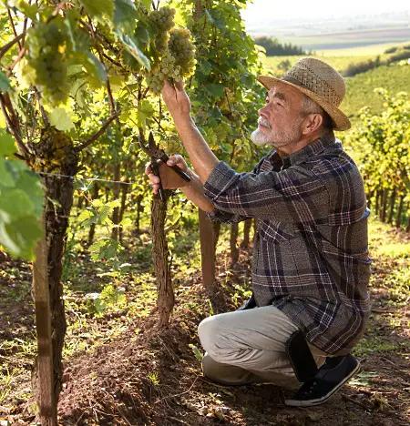 Het Chili Con Carne och prisvärda 3 Amigos!