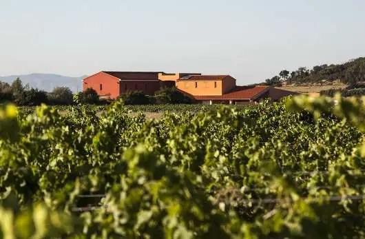 Roussillon – ett soligt vinlandskap i dov ockrafärg