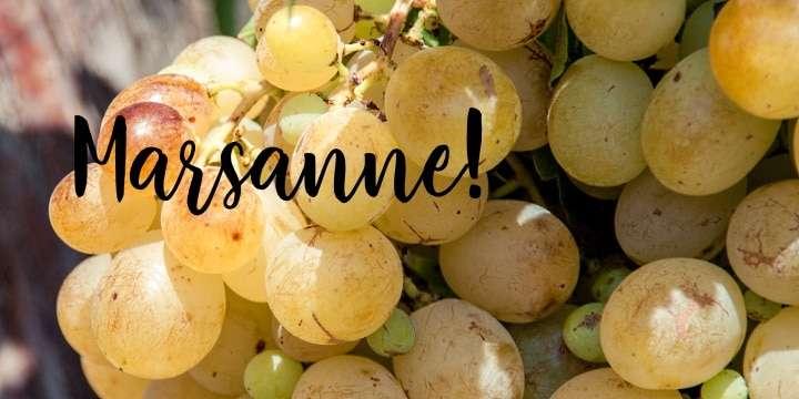 Prova druvan Marsanne från Rhônedalen!