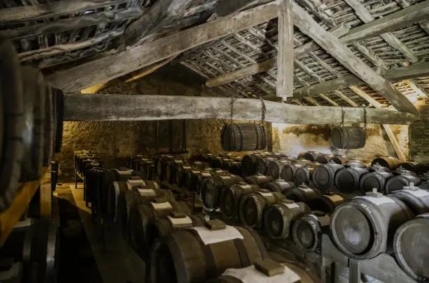 Roncolo 1888 Venturini Baldini - vingården som producerar både vin och vinäger