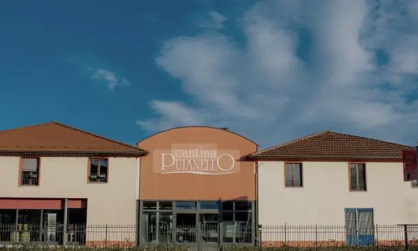 Cantina Puianello - vingården som startades av fem män