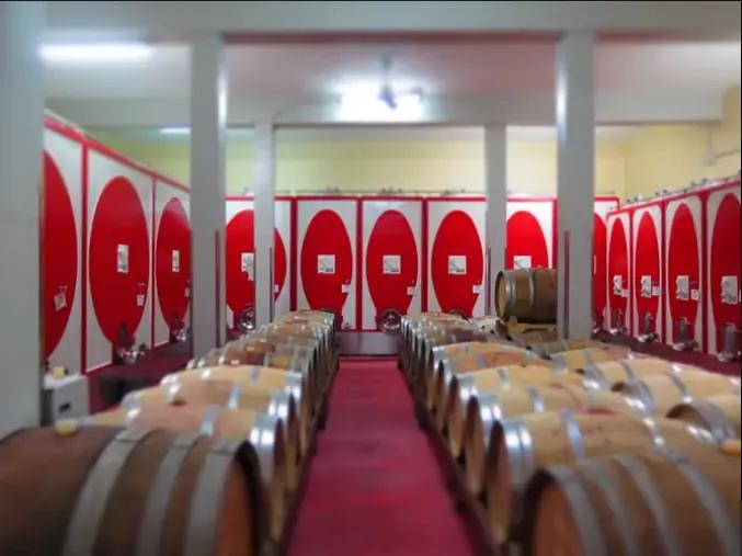 Marco Scolaris - Vinkällare som kan producera 3000 flaskor per timme