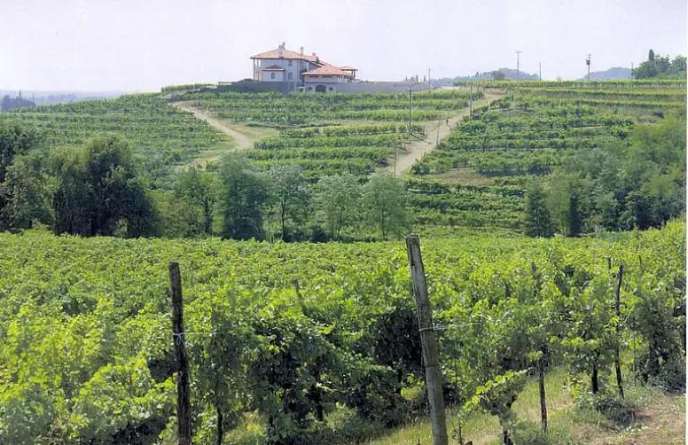 Azienda Cantarutti Alfieri - Ärvde kärleken för vinframställning från pappa