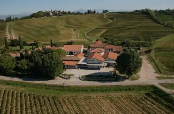 Conte d'Attimis-Maniago - Vingården med 400 års historia