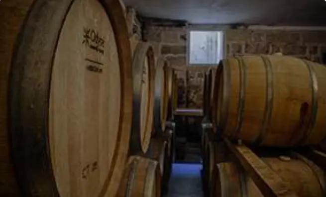 Cantine De Falco Sas - blandar moderna och traditionella metoder