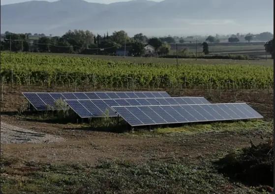 Bocale - Vingården med moderna maskiner och solceller