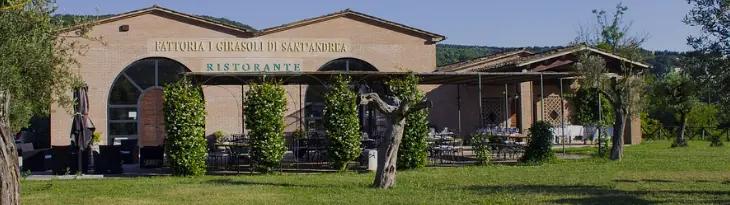 I Girasoli Di Sant'andrea - Vingården med gourmetlunch och vinprovning