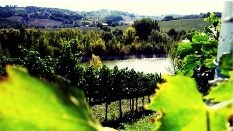 Colle Uncinano - Vingården som producerade de första flaskorna 2007