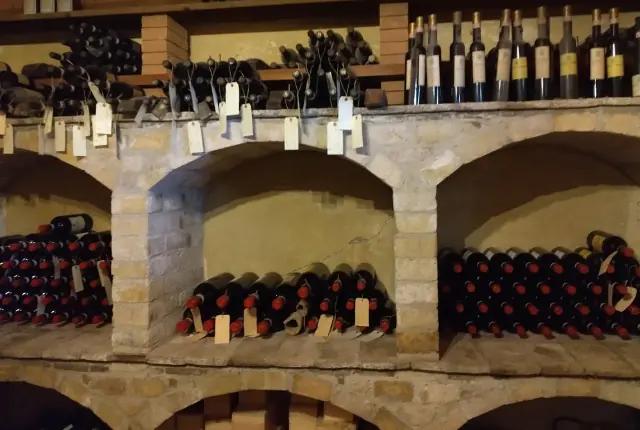 Fongoli - Vingården med oliver, tryfflar, och vin