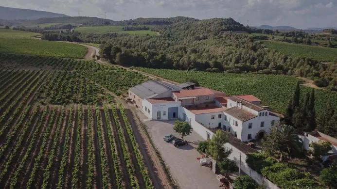 Celler Jordi Lluch - vingården som plockar druvorna för hand