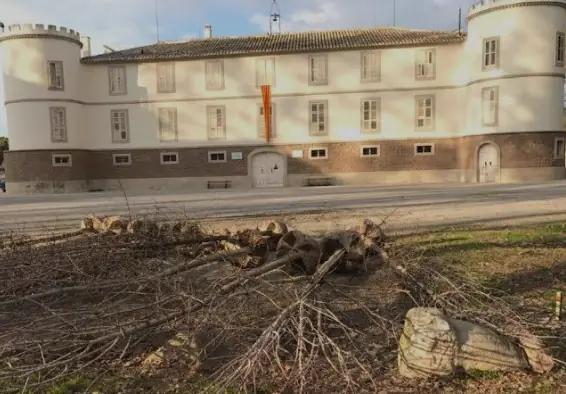 Castell Del Remei - vingården som är en av de äldsta i regionen