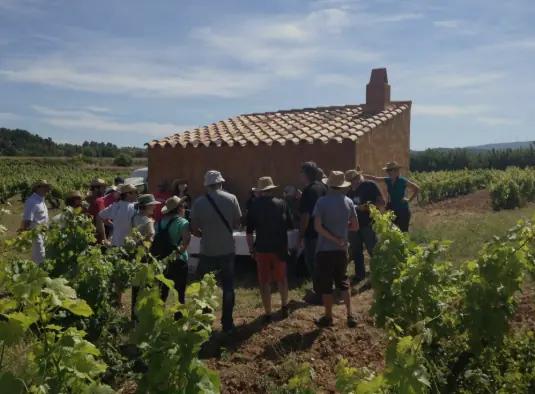 Carlania Celler - vingården som producerar naturliga viner