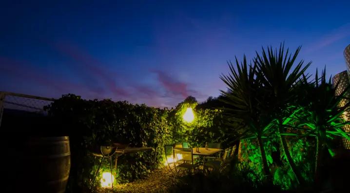 Clos93 - vingården som grundades av tre vänner