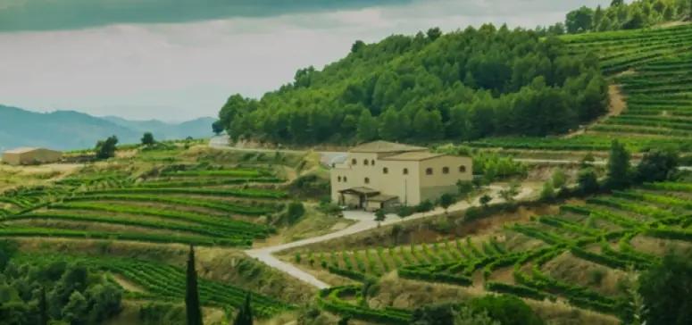 Ametller - vingården som drivs av den sjunde generationen