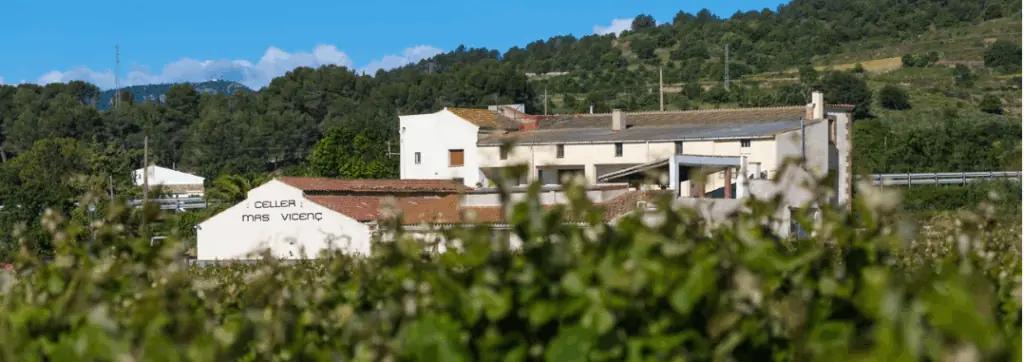 Celler Mas Vicenç - ägaren som köpte en bondgård och startade en vingård