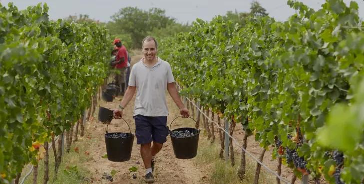 Vinyes Del Terrer - vingården som producerar 35 000 flaskor om året