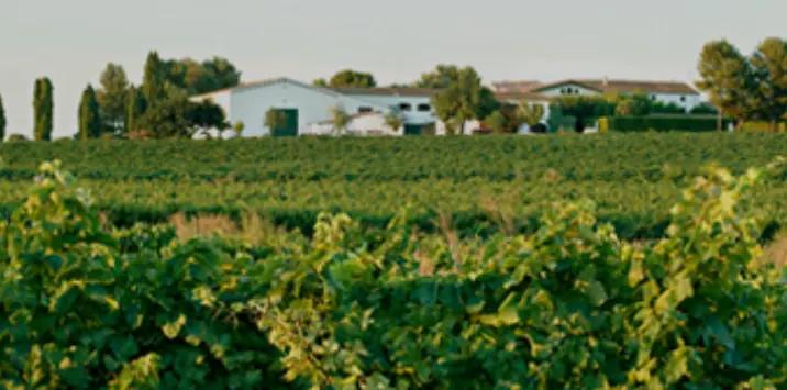 Giró Del Gorner - vingården som producerar Cava med DO Cava märkning