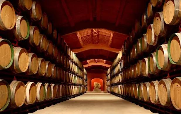 Bodegas Fernandez De Arcaya - Vingården som försöker att använda mindre vatten