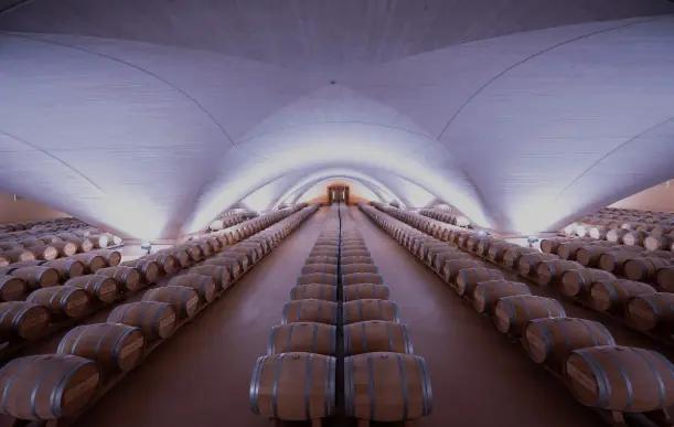 Bodega Otazu - The Wine Cathedral