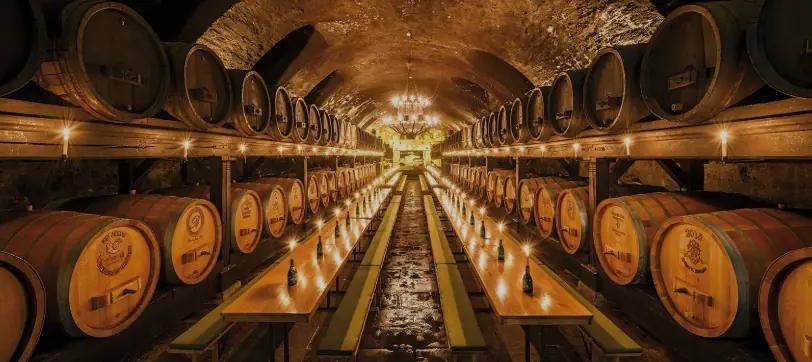 Staatlicher Hofkeller Wuerzburg - vingården med en 890 år lång historia Staatlicher Hofkeller Wuerzburg - vingården med en 890 år lång historia